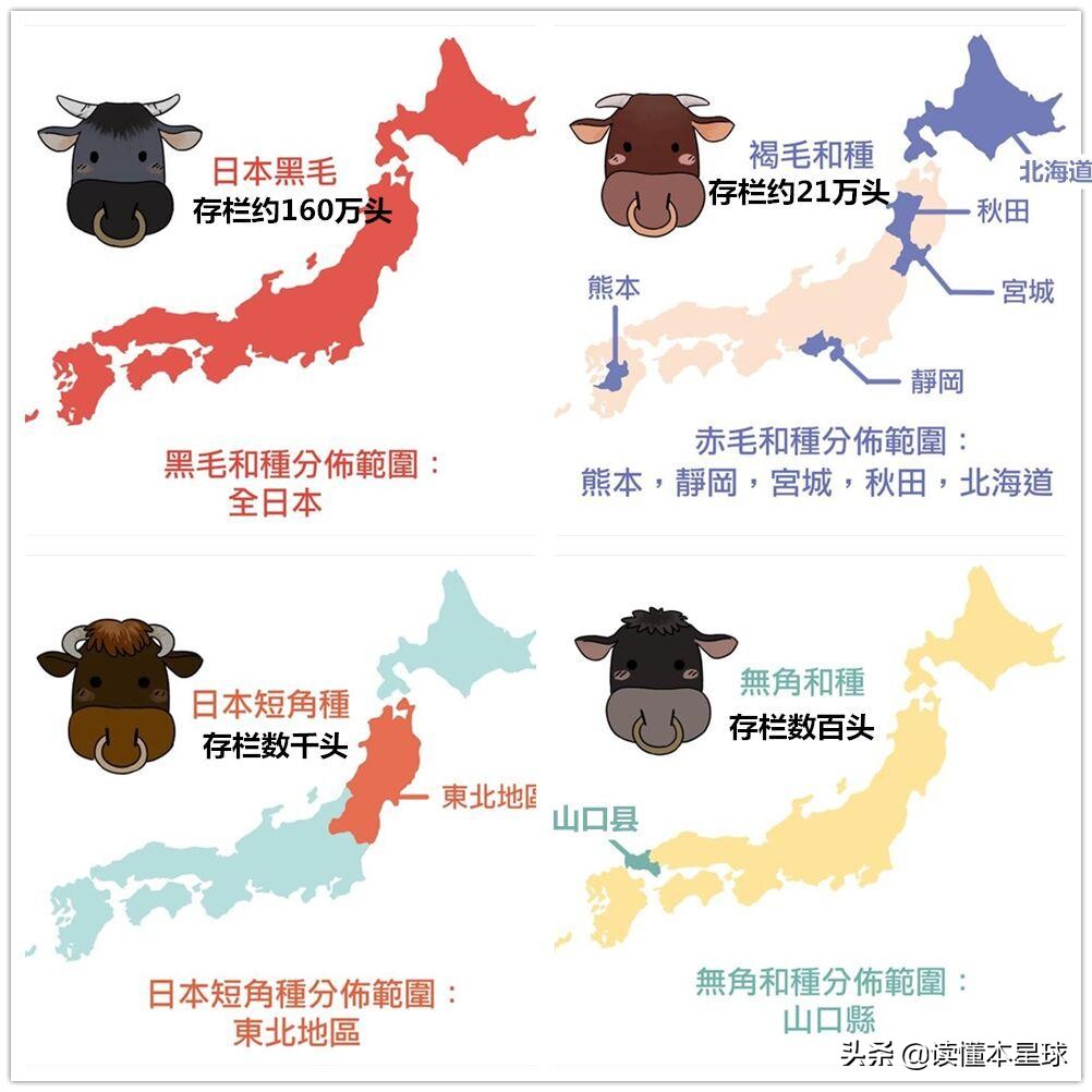 日本人为什么喜欢中国人,日本人为何喜欢美国