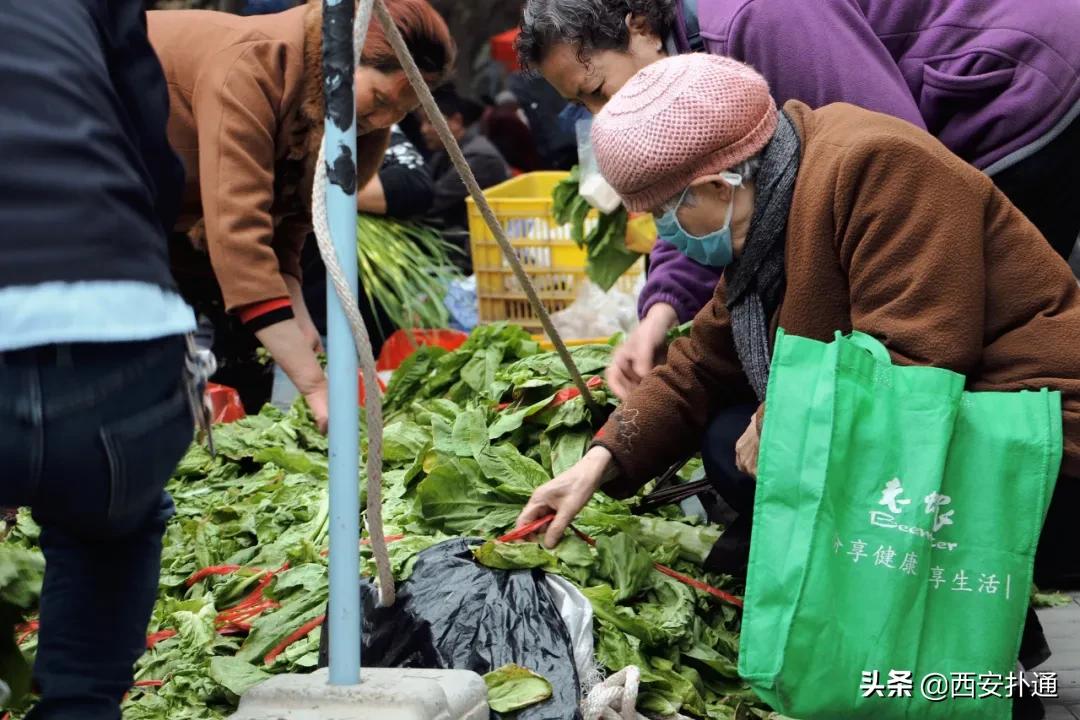 在西安,你一定要逛一次万寿路的早市