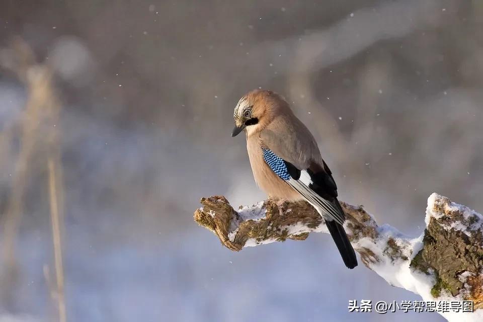 热心肠的爷爷作文400个字,乐于助人的爷爷优秀作文