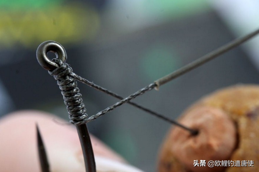 话说欧鲤钓组全集,欧鲤钓组可以钓哪些鱼