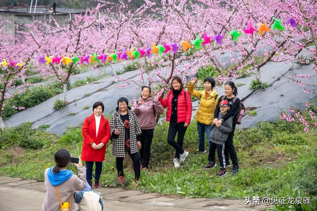 美成仙境,美成了仙境