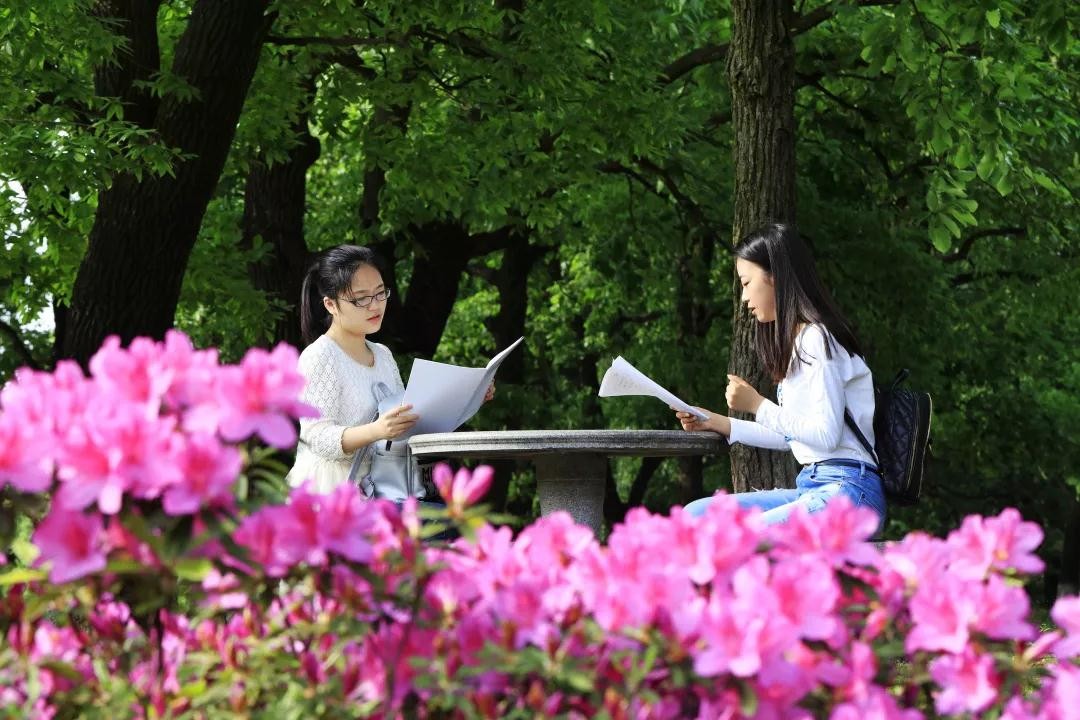 全国食堂最好吃的十所高校,全国最美高校食堂排名
