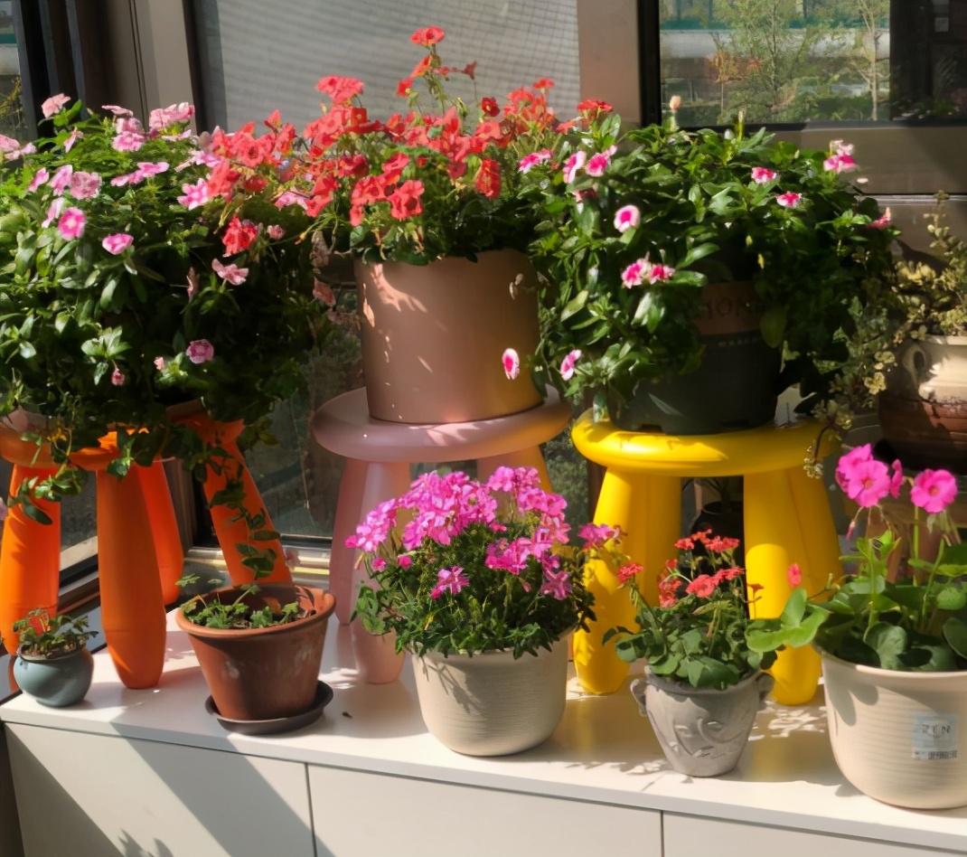 养什么花用营养土好,适合家里养的花土
