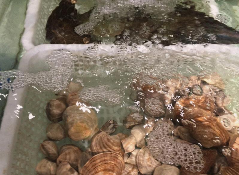 龙湖时代天街以前原样,龙湖天街还营业情况