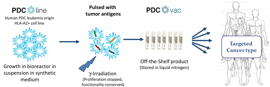 cns癌症免疫治疗的最新研究进展,全球免疫细胞治疗实体瘤发展现状