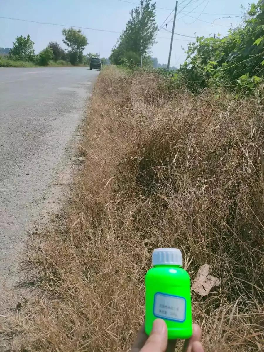 25公斤草甘膦除草剂价格,草甘膦价格创历史最高