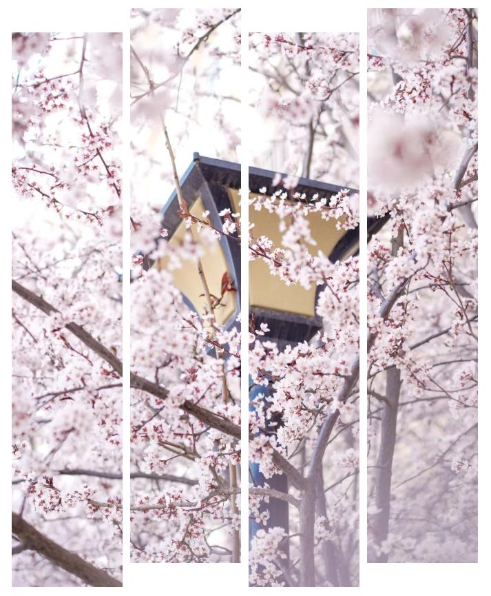 坐拥“专属地铁”,有7大美食集结地!东北这所大学“顶尖”配置太绝!