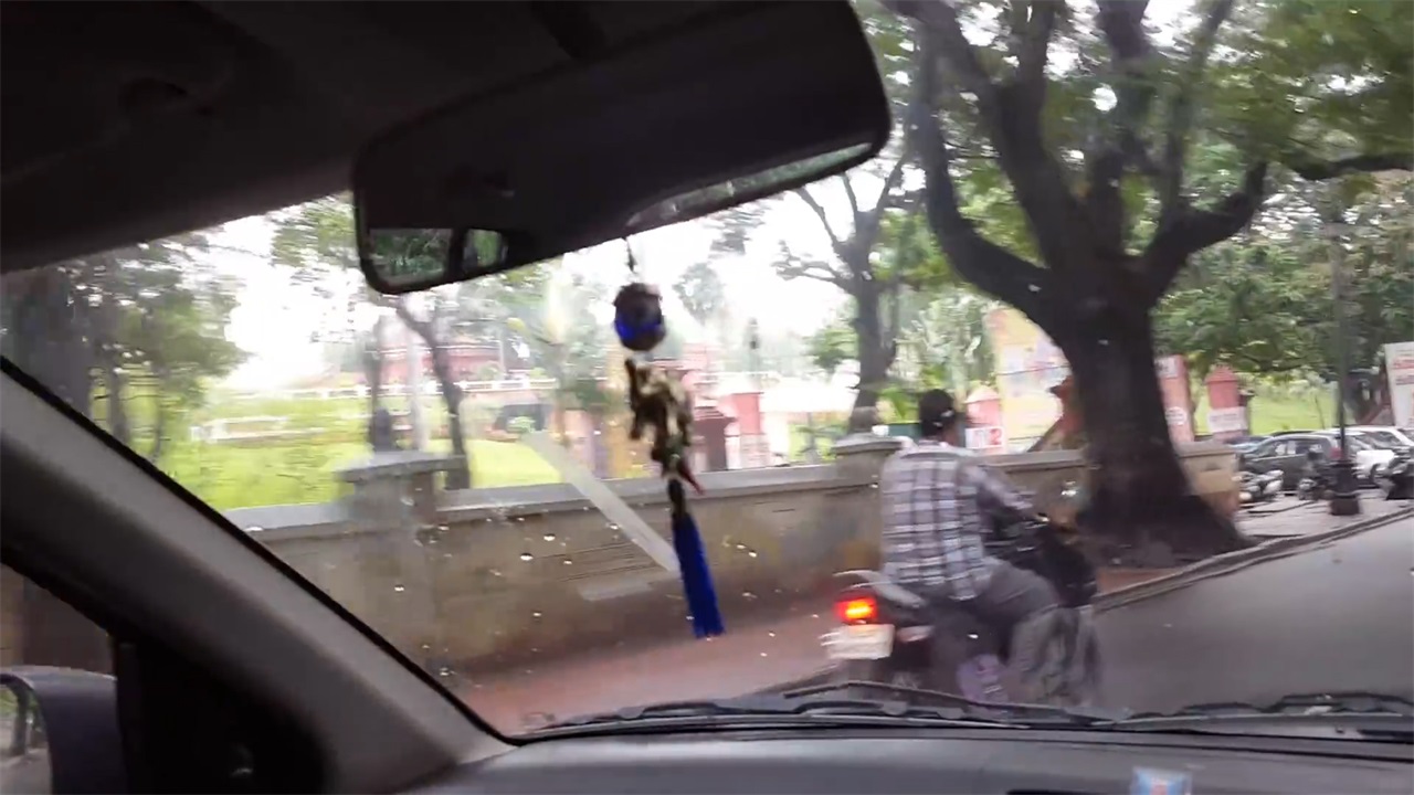 德国大型蔬菜移栽机,德国移植树木机器视频