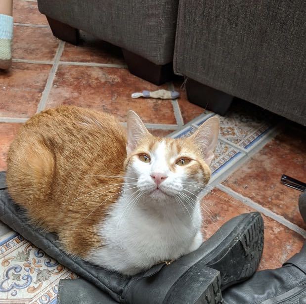 新冠病毒国外怎么防控,新冠病毒国外防控