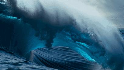 BBC最棒8部纪录片，强烈推荐孩子暑假看