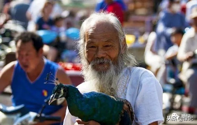 皇城根脚下,那是开封大爷遛鸟的天地