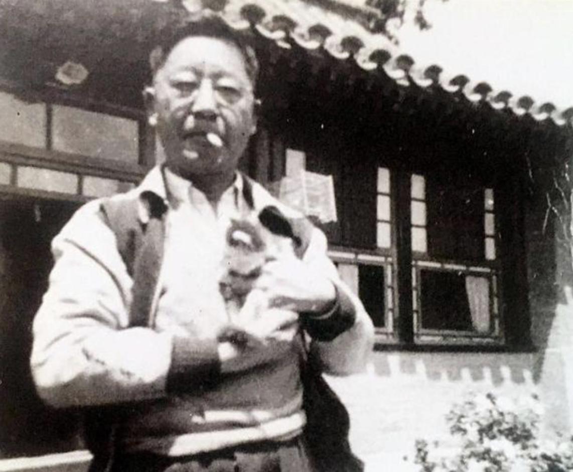 养了一年的小猫咪野性还是挺强,既然选择养小猫咪就要对它负责