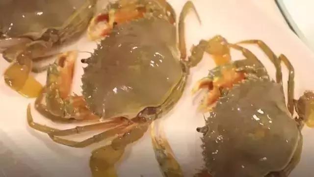 广州南沙区飞速发展,即将崛起的广州南沙区