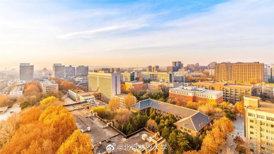 北京“绿色学府”:占地13176亩,坐拥8大餐厅,新华社、中央电视台聚焦关注!