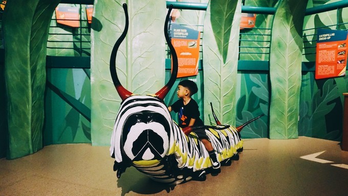 狮城新加坡自由行,新加坡7日游攻略