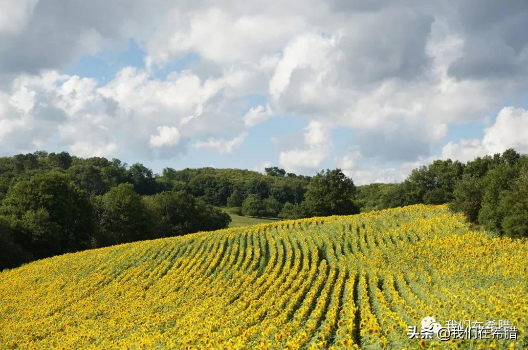 希腊海边土地价格,希腊土地多少钱一亩