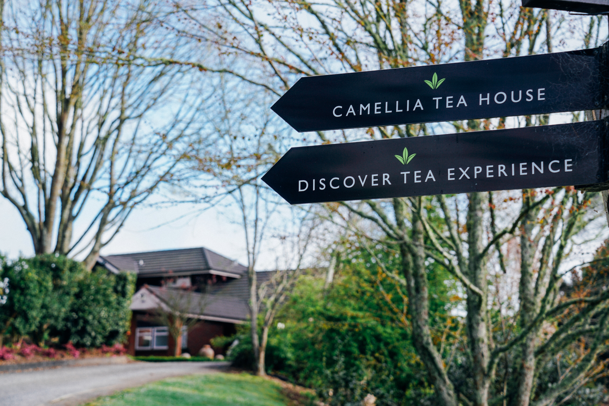 为什么说新西兰是纯净的,新西兰北岛有值得去的地方吗