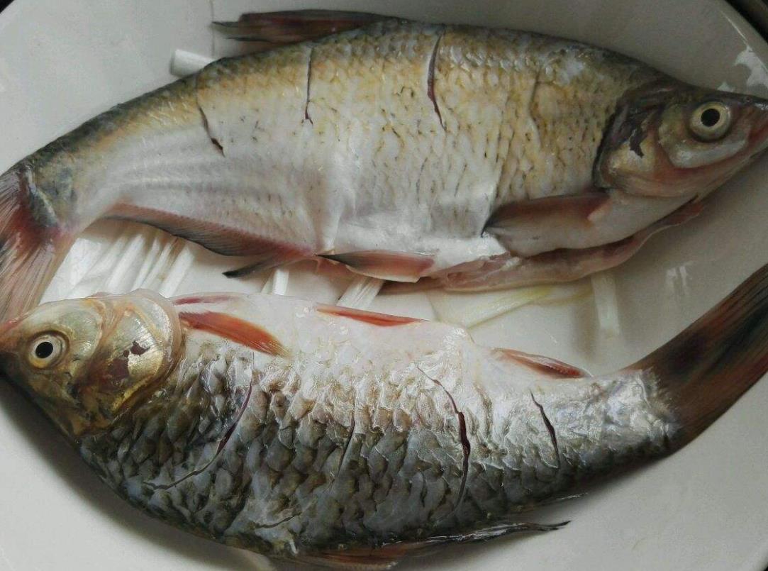 清蒸鱼鲜嫩又不腥的秘诀,清蒸鱼鲜嫩又不腥的秘籍