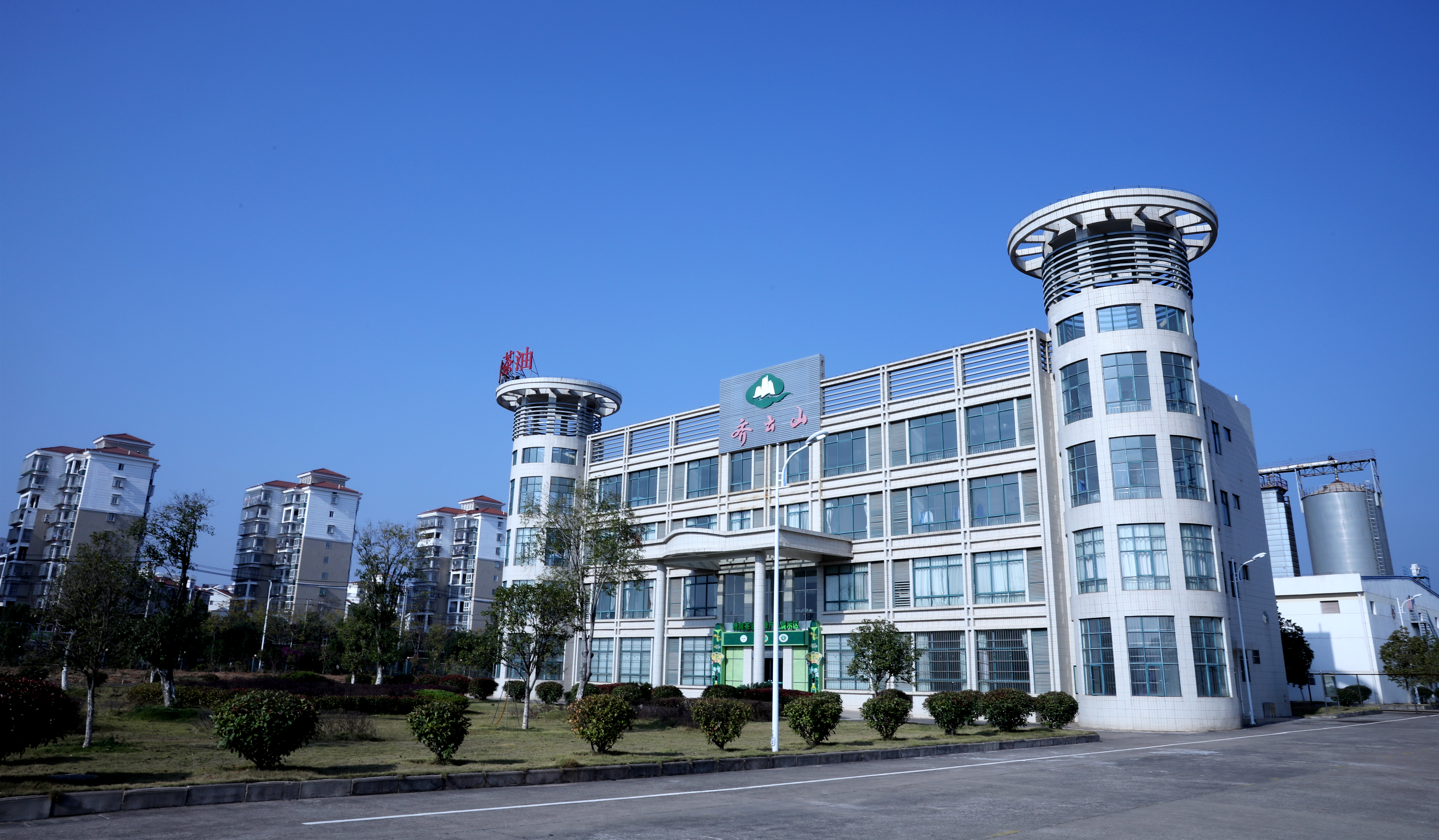 茶油加工车间,山茶油展厅案例