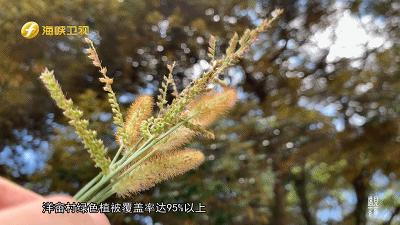 中国绿色村庄（洋畲村），不知道的以为自己误闯欧洲小镇