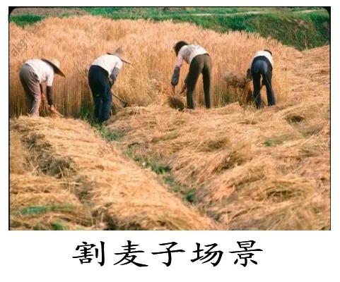 乡村记忆之我的表嫂,乡村记忆