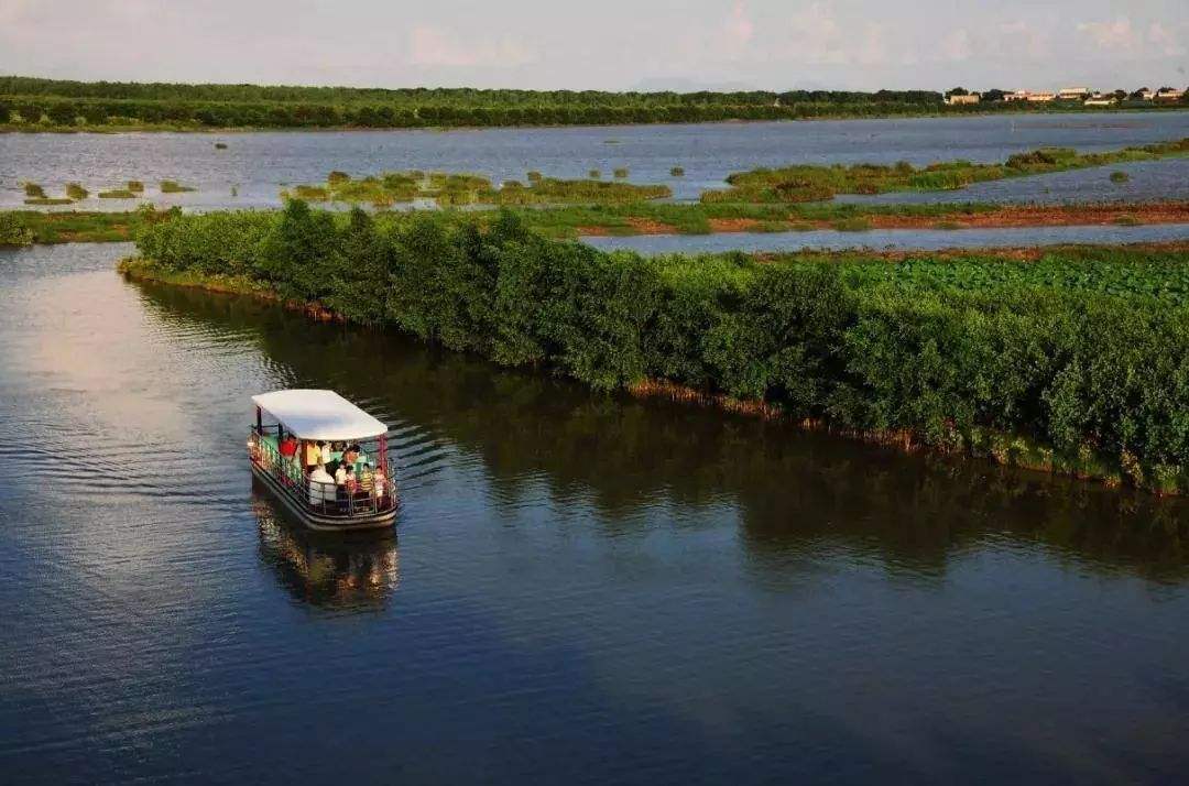 广州4a级景区旅游景点,广州5a旅游景区名单大全