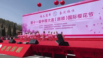 一起去旅顺赏樱花,旅顺樱花节美景