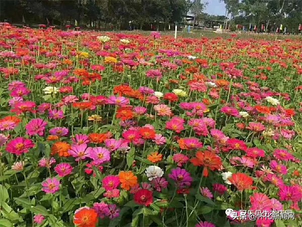 五一怀化亲子游推荐,怀化五一可以带孩子参观的地方