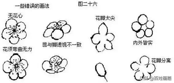 国画梅花画法视频,徐湛梅花画法教程