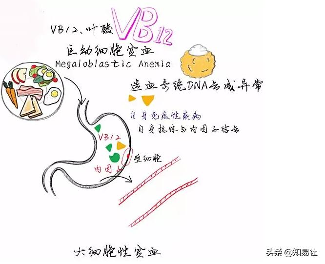 医学知识科普缺铁,医学科普能解决什么问题