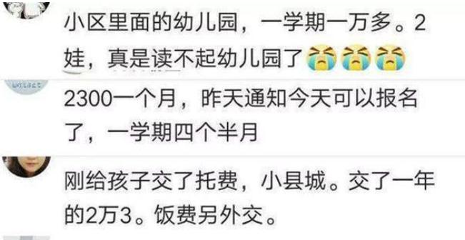 天价幼儿园一年17万元,天价幼儿园