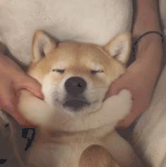 平价平替精华推荐,用过最好用的精华水