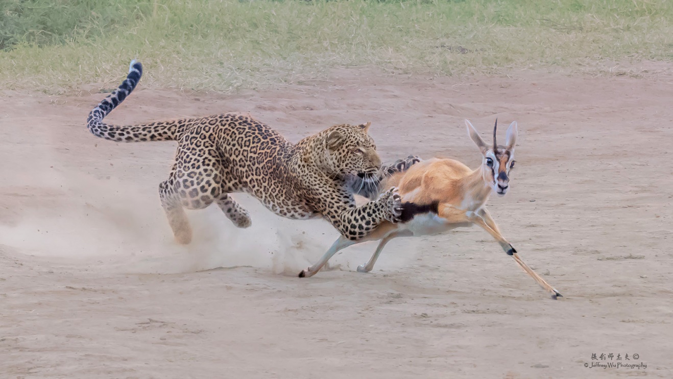 尼康nikond850拍摄视频,摄影器材篇尼康d850