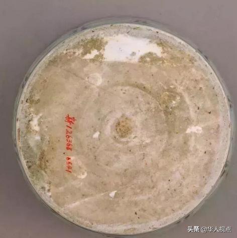 元青花葫芦瓶真假辨别,紫光灯下真假元青花视频