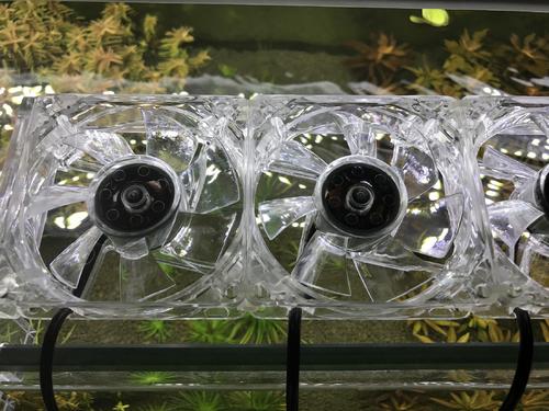 虾缸怎么降温,虾缸怎么降温效果最好