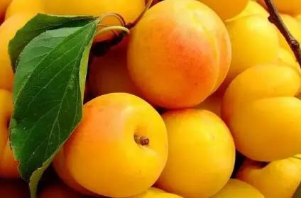 6月有钱没钱,这5颗水果都要买,饭前或饭后吃点,清爽美味营养多