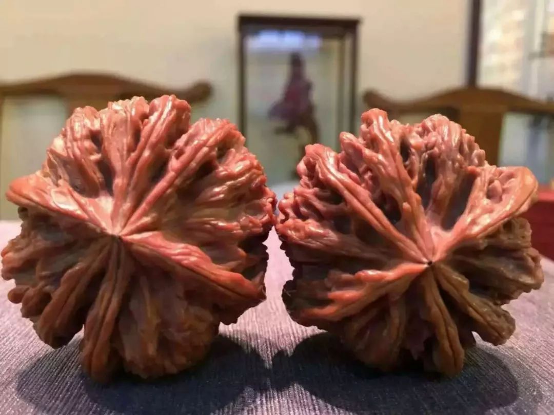 挑选核桃四要素：品相，皮质，配对，尺寸。