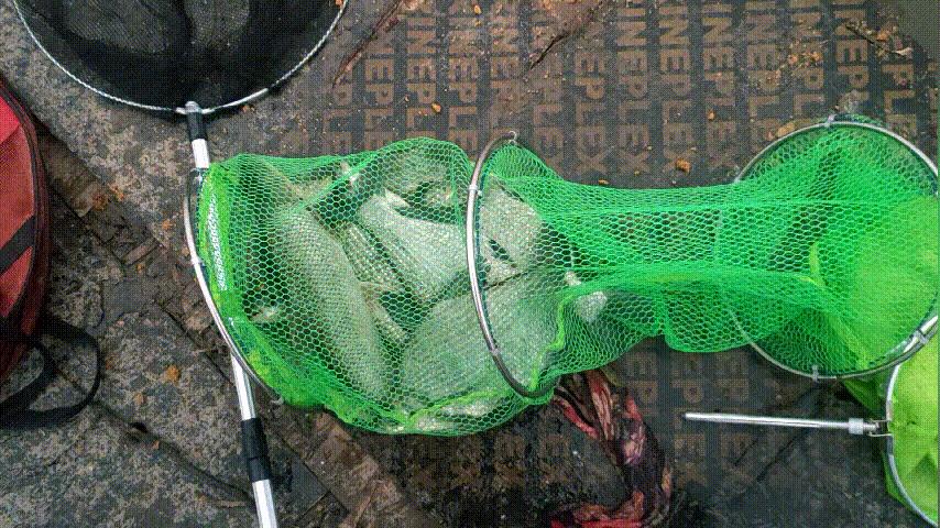 渔具最简单的装备,100元可以买什么渔具一套