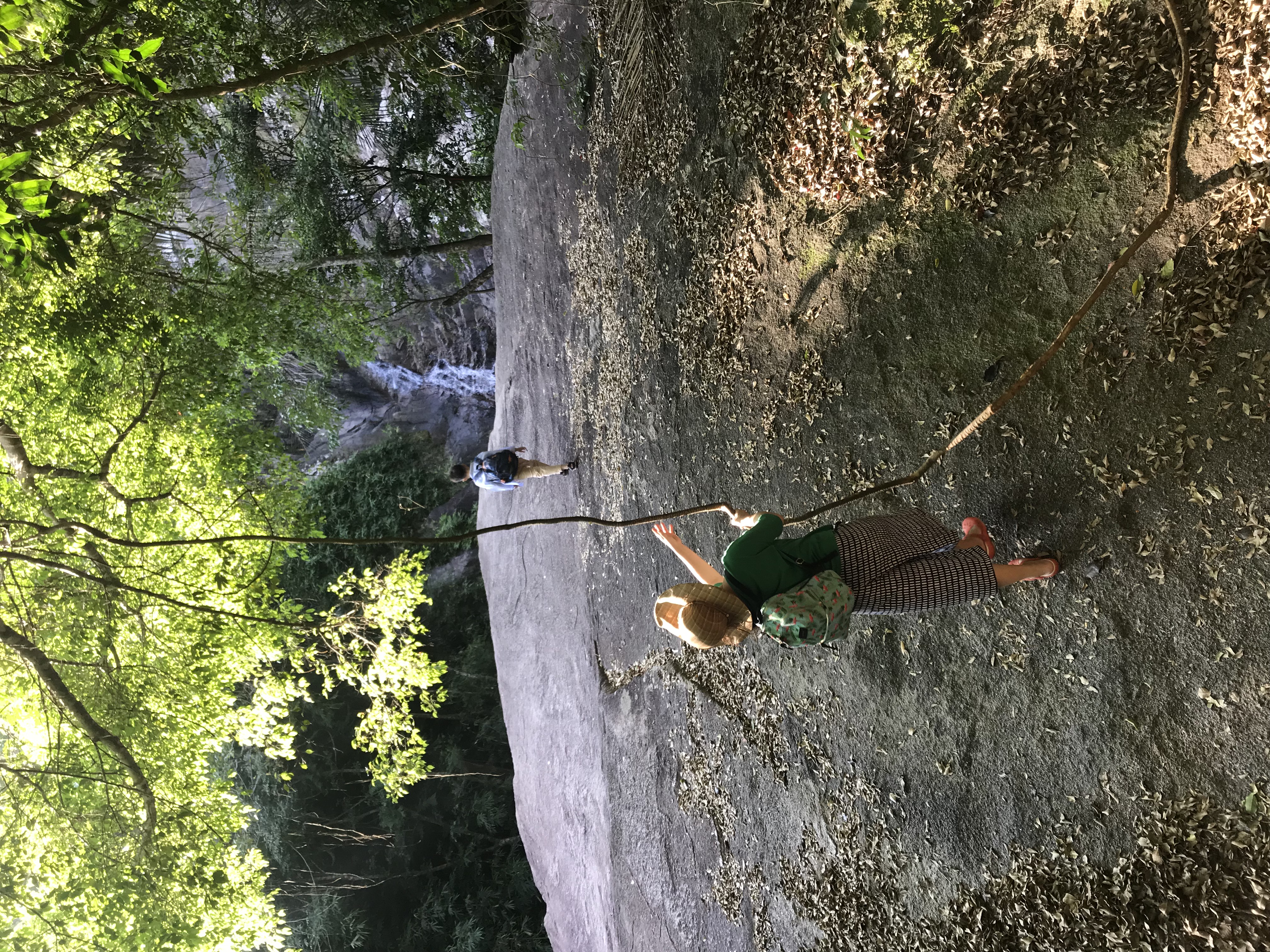 1500年的“母生”藏于此，这里集海南珍稀名木，神奇霸王岭