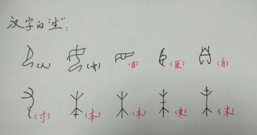 趣味汉字汉字的历史,趣味汉字汉字起源