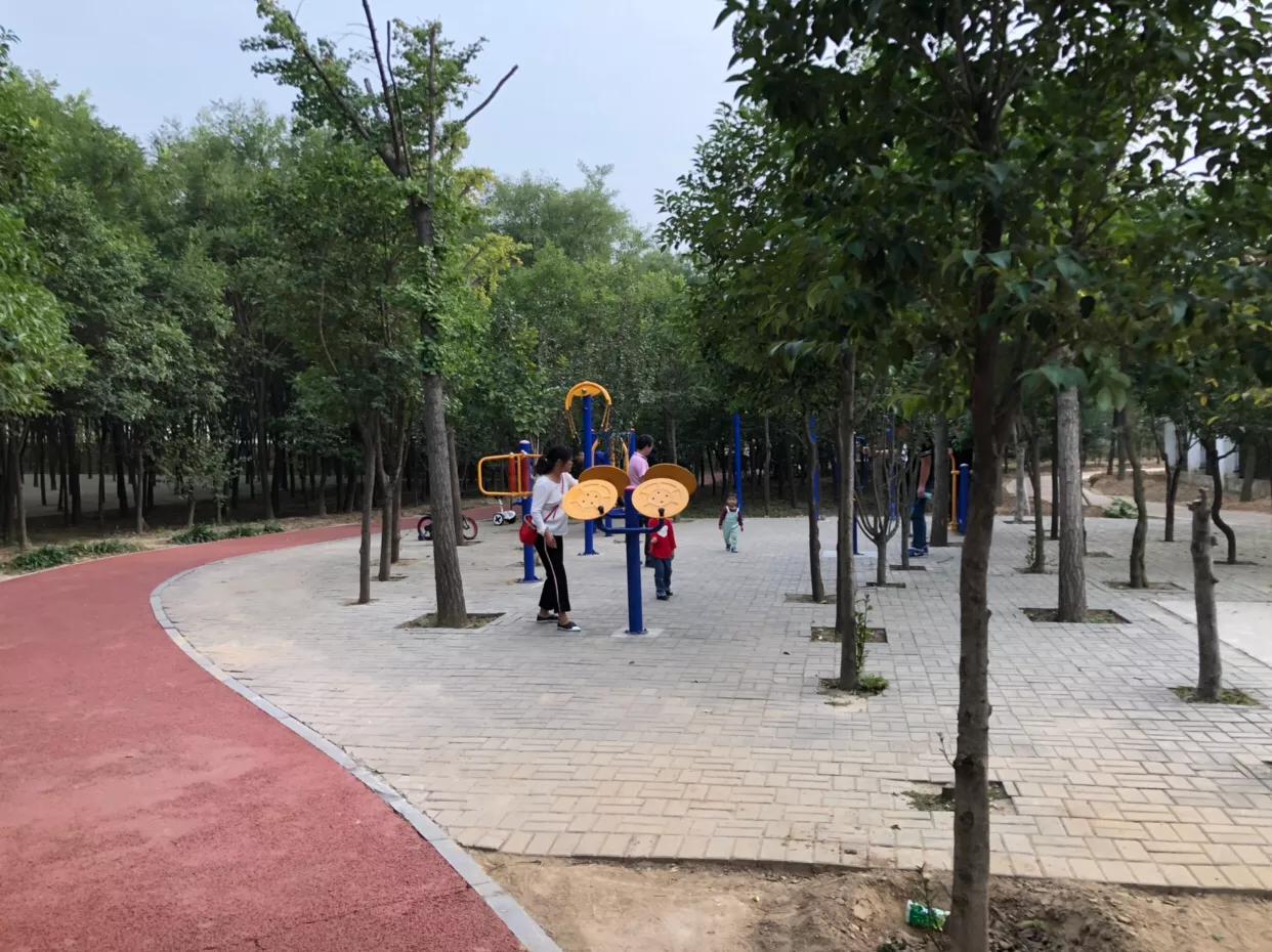 郑州免费公园树木园,郑州树木园开放