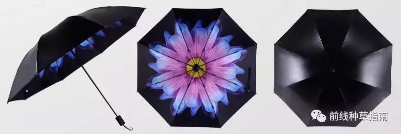 动物防晒VS人类防晒,食物链顶端的我们居然败了?!