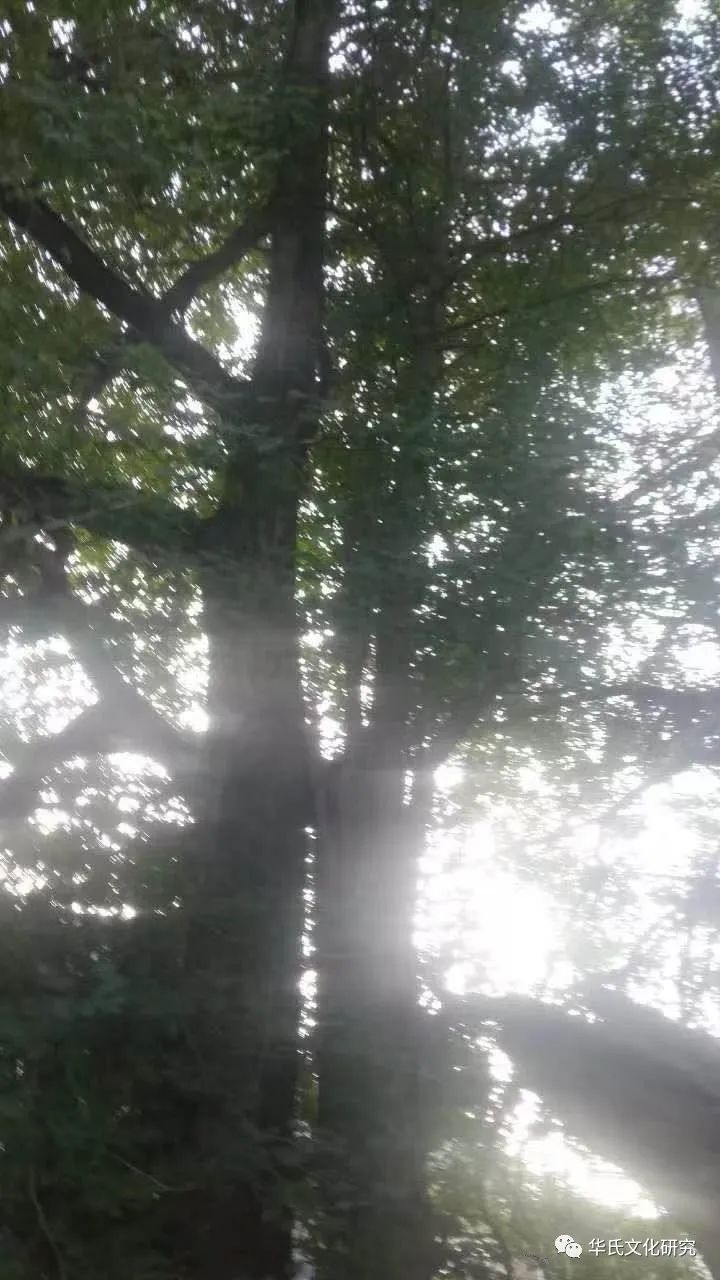 祖德流芳百世宗恩润泽千秋,祖德流芳润泽八方