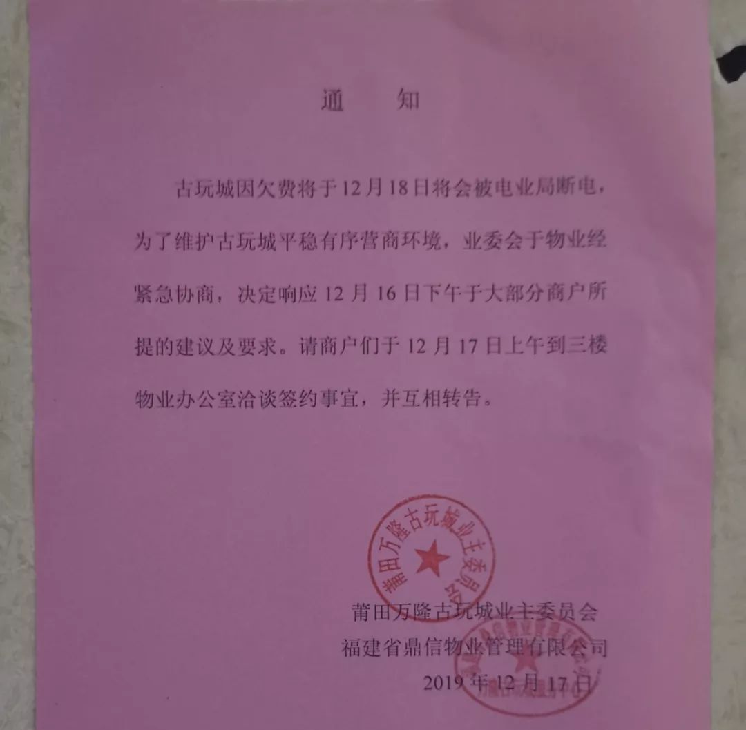 莆田奇女子的古玩人生，一条从嫌弃到深爱的路