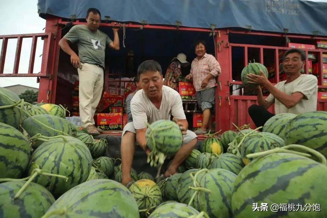河南人饮食习惯,河南人的西瓜吃到最后是咸的