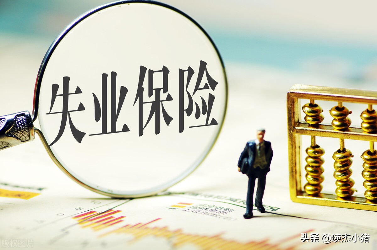 什么情况失业可以领取失业金呢,如果你失业你会做什么