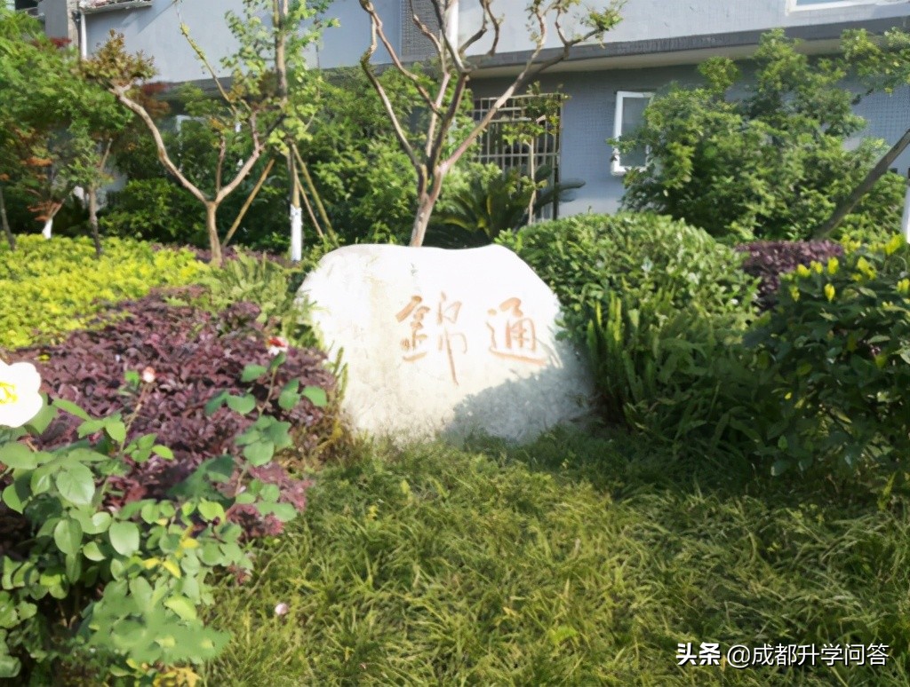 金牛区重点高中学校排名榜,中考择校如何挑选好学校