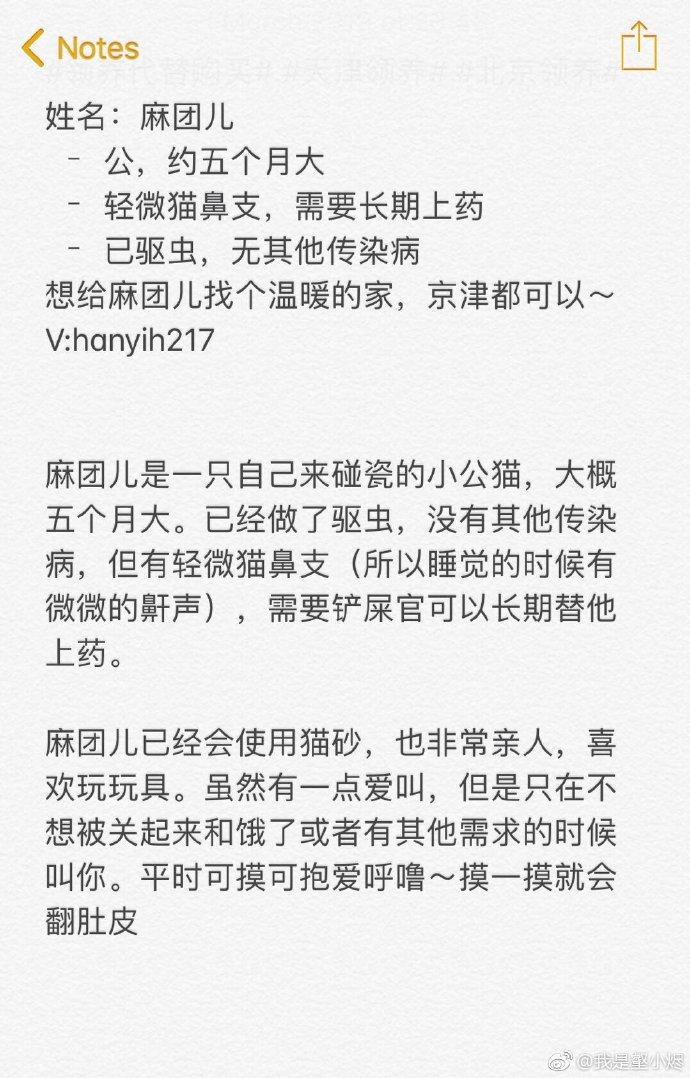 发布领养狗的朋友圈,发布宠物领养文字