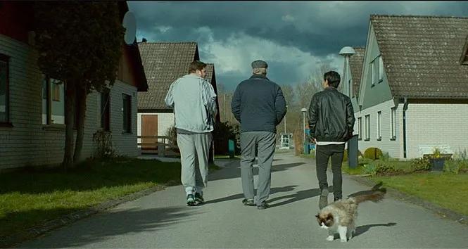 一个叫欧维的男人感悟,一个叫欧维的男人书籍分享ppt