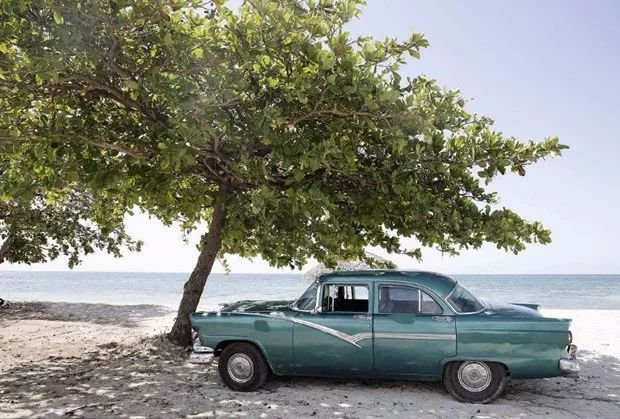 鸟为什么总是往一个人身上拉屎,为什么鸟总是拉屎到白色车上